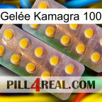 Gelée Kamagra 100 new10
